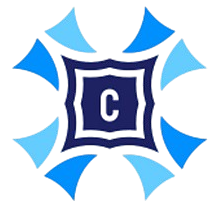 Company 9